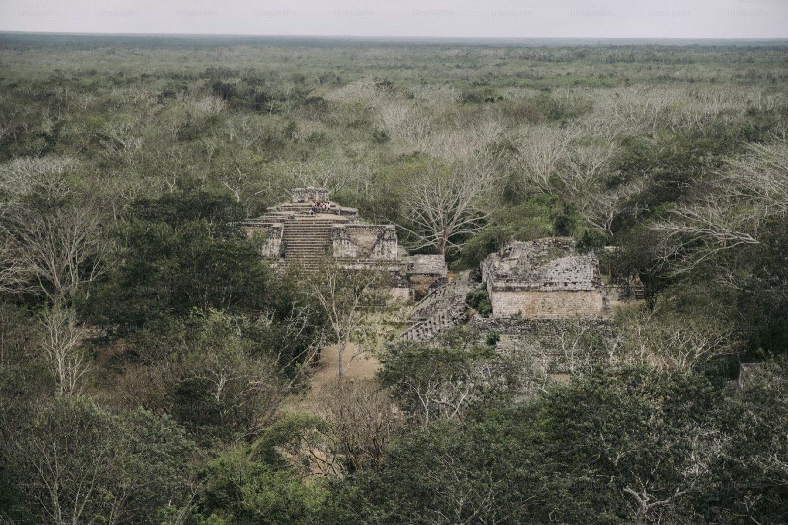 Zona arqueológica en la selva